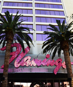 На сегодняшний день казино Фламинго в Лас-Вегасе принадлежит всемирно известной компании Харрас (Harrah's Entertiment)